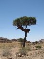 Namibia Hochzeit, Reise, Bilder, Fotos - img_1927.jpg